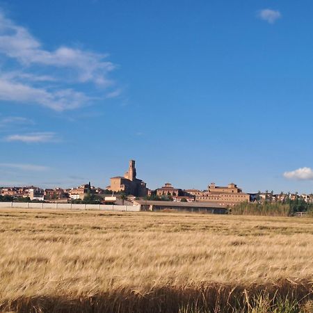 Apto Rural Alesves Esencia De Bardenas Navarra Villafranca المظهر الخارجي الصورة