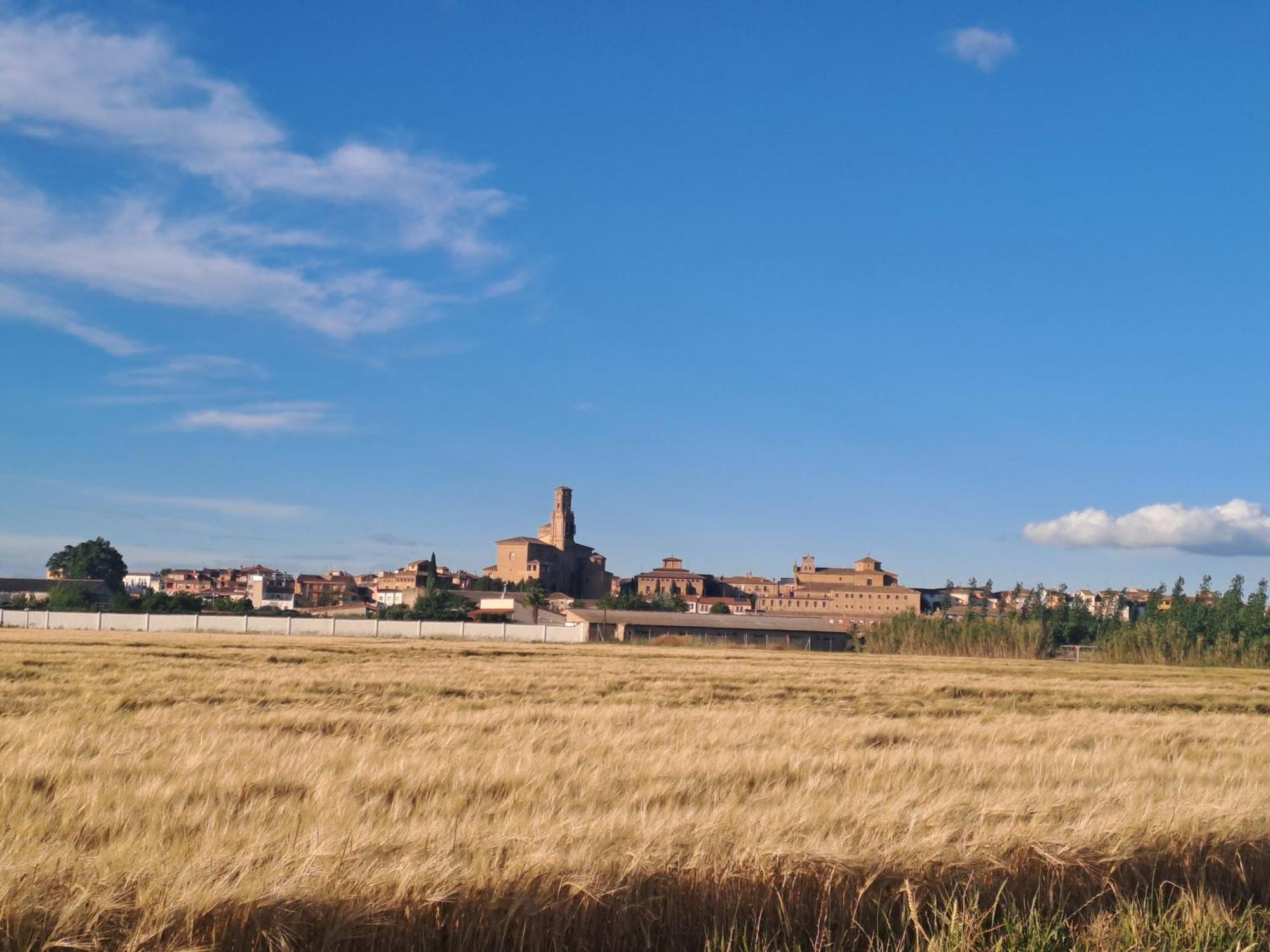 Apto Rural Alesves Esencia De Bardenas Navarra Villafranca المظهر الخارجي الصورة
